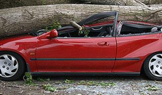 Ghorbel.tn Comparateur d'Assurance - EXCLUSIF: voici a quoi ressemblera  votre assurance automobile a partir de juillet, un autocollant rose  semblable a celui de la visite technique a coller sur le côté droit